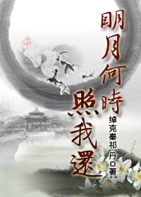 明月何时照我还